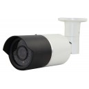 1/3" Sony Super HAD CCD II 700 TVL Face detection Bullet